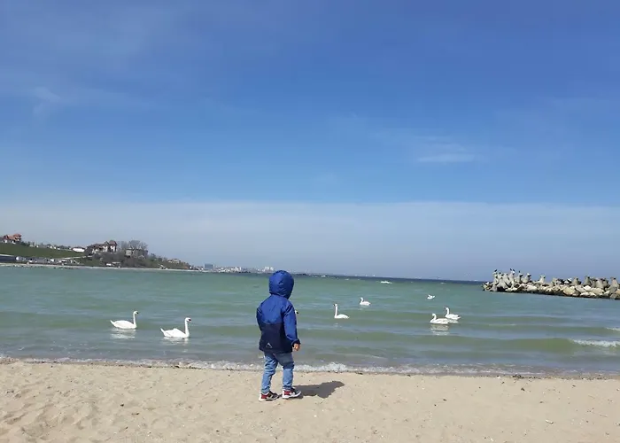 Rima Del Mar Pensiune Eforie Nord